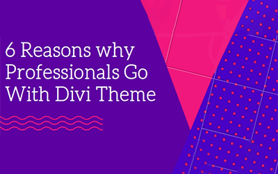 6 Reasons Why Professionals Go With Divi Theme?